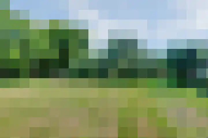 Langenboomseweg 69 a Mill thumbnail 79