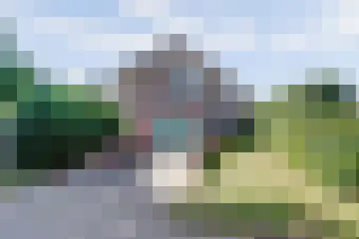 Langenboomseweg 69 a Mill thumbnail 8