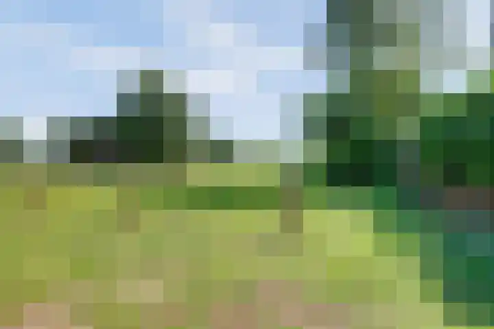 Langenboomseweg 69 a Mill thumbnail 80
