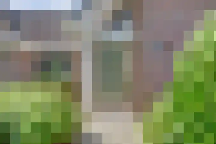 Langenboomseweg 69 a Mill thumbnail 9