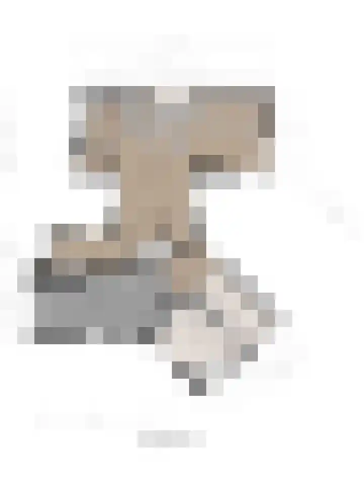 Langenboomseweg 69 a Mill thumbnail 91