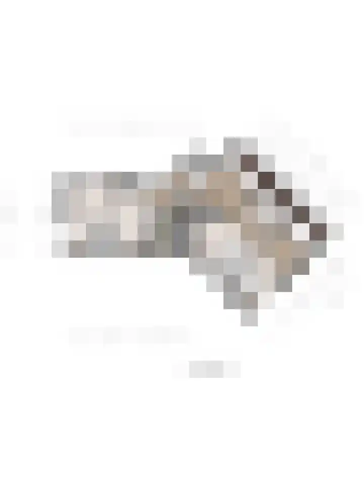 Langenboomseweg 69 a Mill thumbnail 92