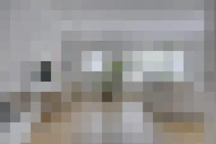 Langenboomstraat 2 Goirle thumbnail 11