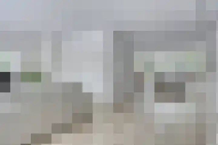 Langenboomstraat 2 Goirle thumbnail 13