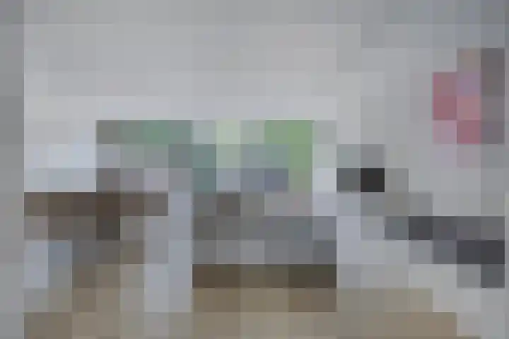 Langenboomstraat 2 Goirle thumbnail 14