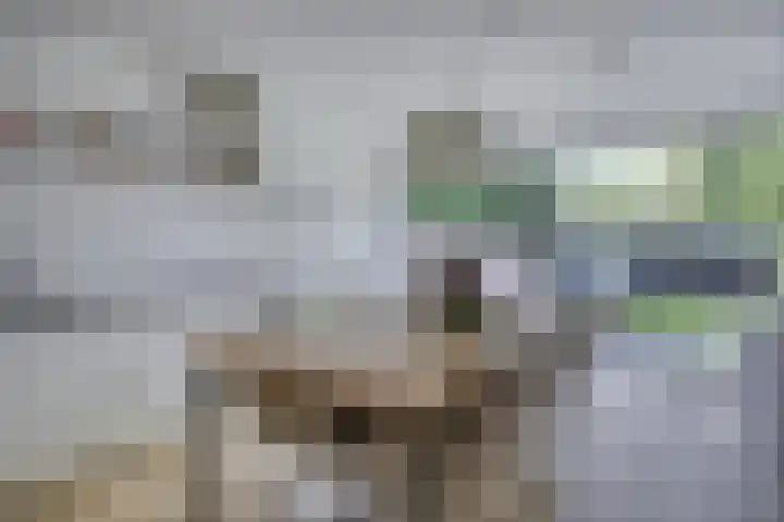 Langenboomstraat 2 Goirle thumbnail 16