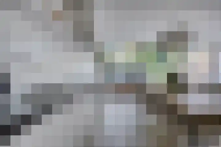 Langenboomstraat 2 Goirle thumbnail 17