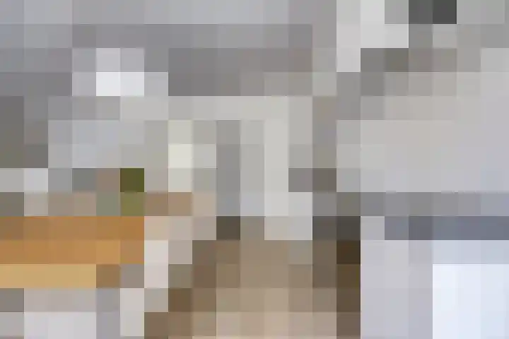 Langenboomstraat 2 Goirle thumbnail 18