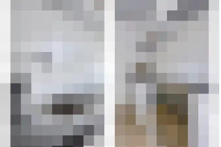 Langenboomstraat 2 Goirle thumbnail 20