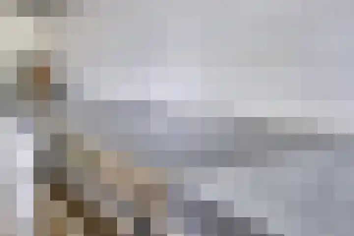 Langenboomstraat 2 Goirle thumbnail 21