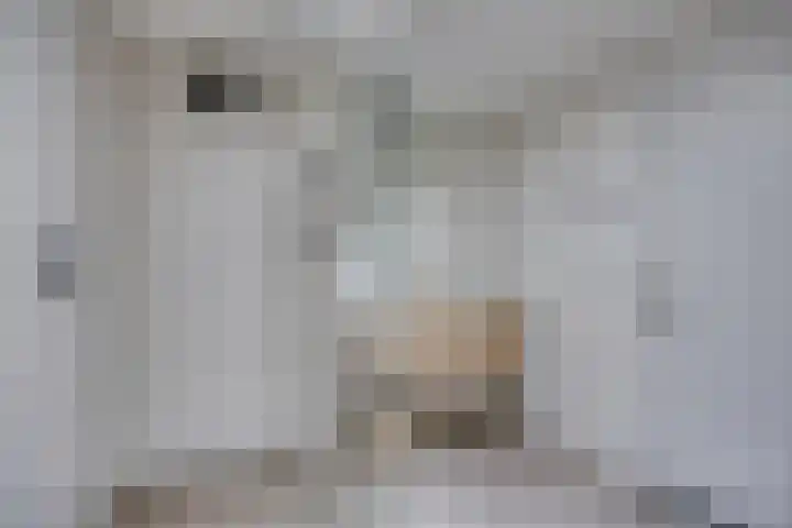 Langenboomstraat 2 Goirle thumbnail 27