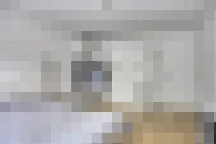 Langenboomstraat 2 Goirle thumbnail 30