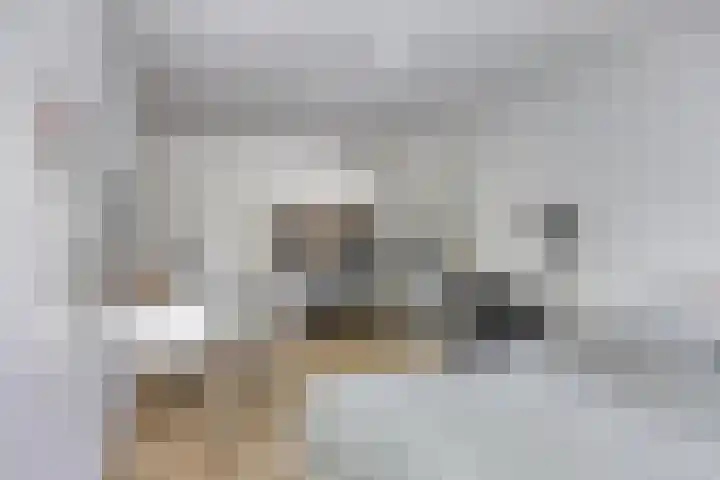 Langenboomstraat 2 Goirle thumbnail 32