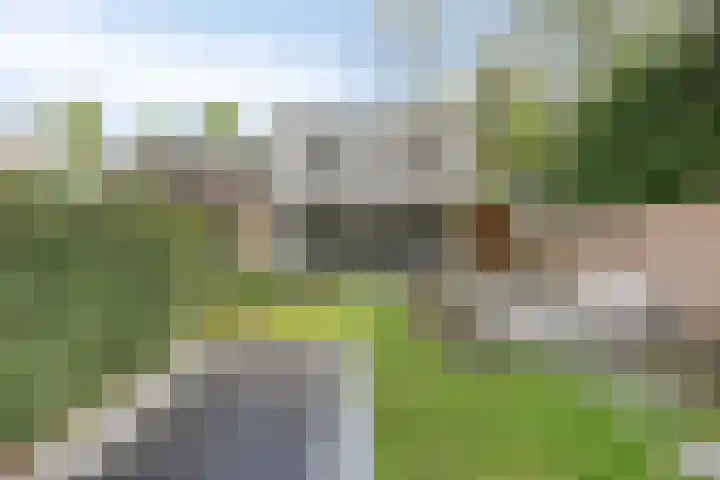 Langenboomstraat 2 Goirle thumbnail 37