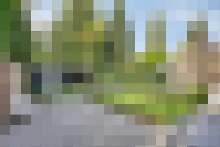 Langenboomstraat 2 Goirle thumbnail 4