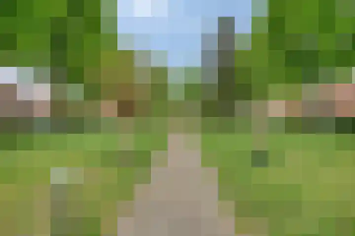 Langenboomstraat 2 Goirle thumbnail 41