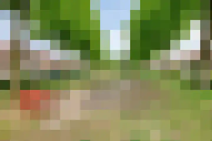 Langenboomstraat 2 Goirle thumbnail 43