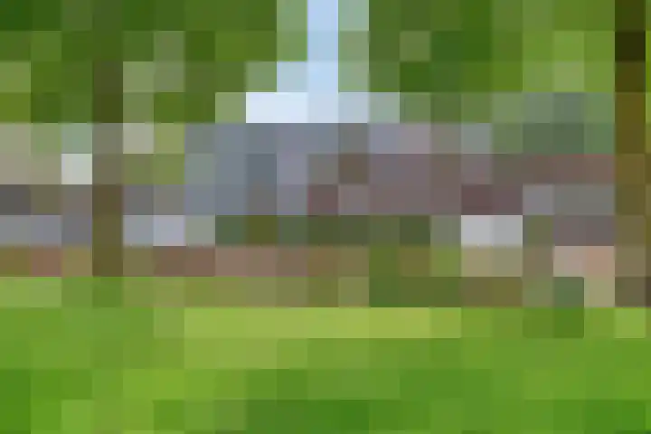 Langenboomstraat 2 Goirle thumbnail 44