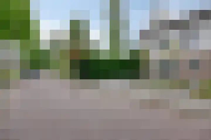 Langenboomstraat 2 Goirle thumbnail 5