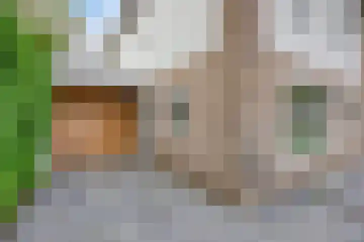 Langenboomstraat 2 Goirle thumbnail 8