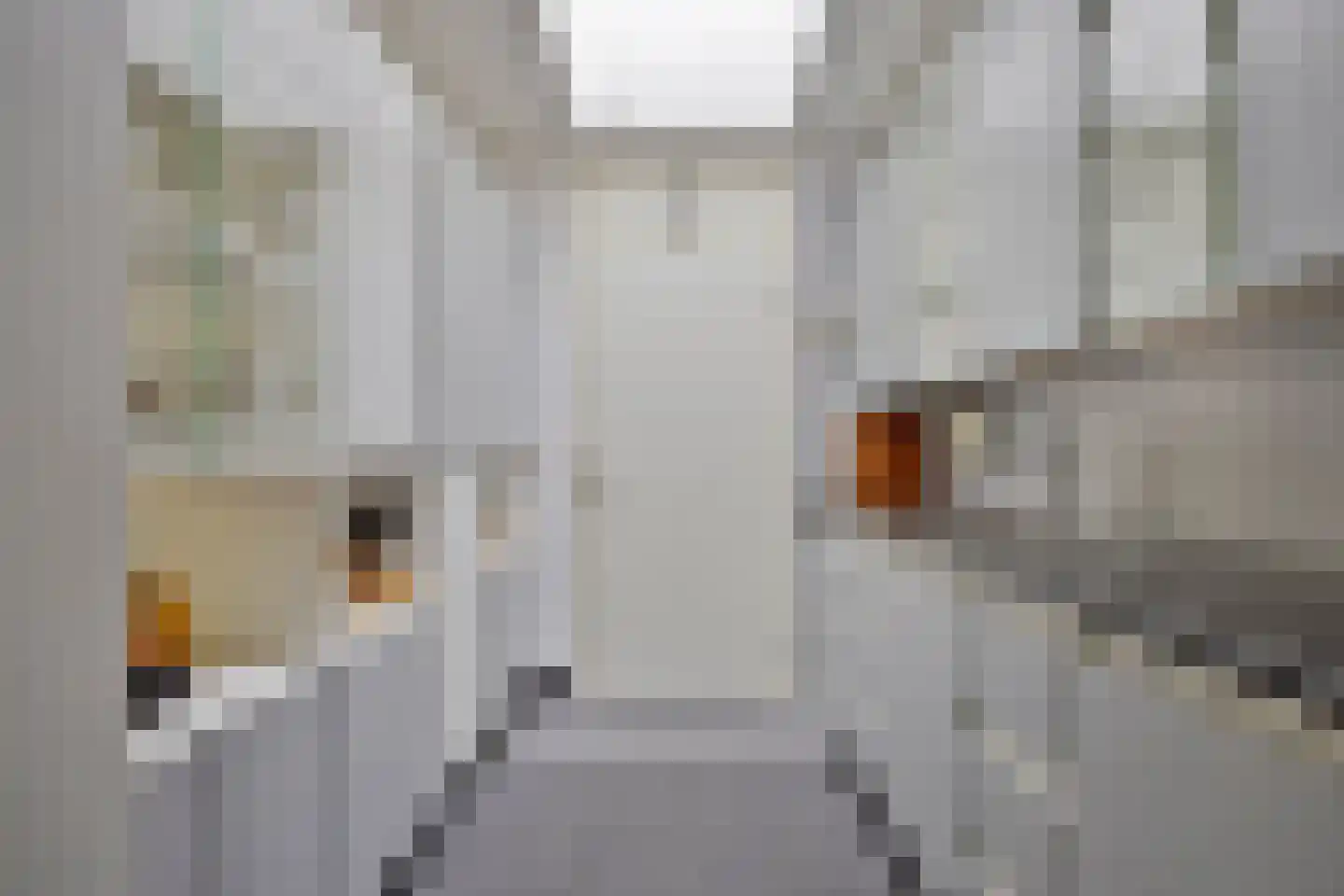 Langenboomstraat 5 Goirle thumbnail 10