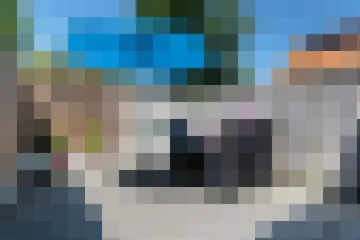 Langendam 25 Zoutelande thumbnail 17