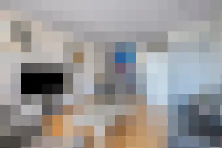 Langendam 25 Zoutelande thumbnail 6