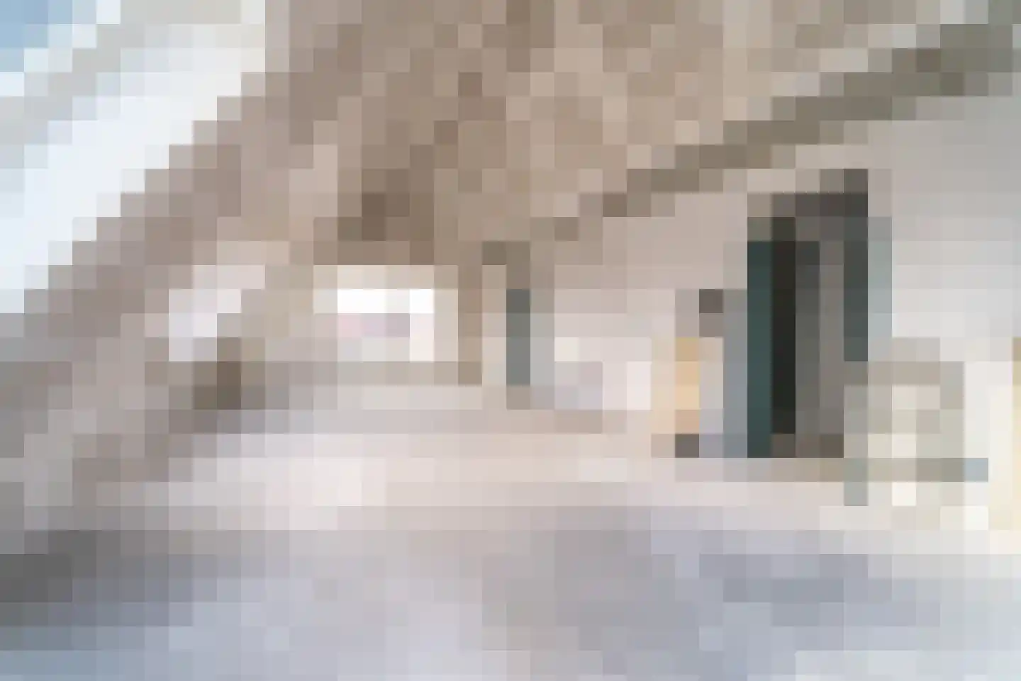 Langendam 31 Zoutelande thumbnail 6
