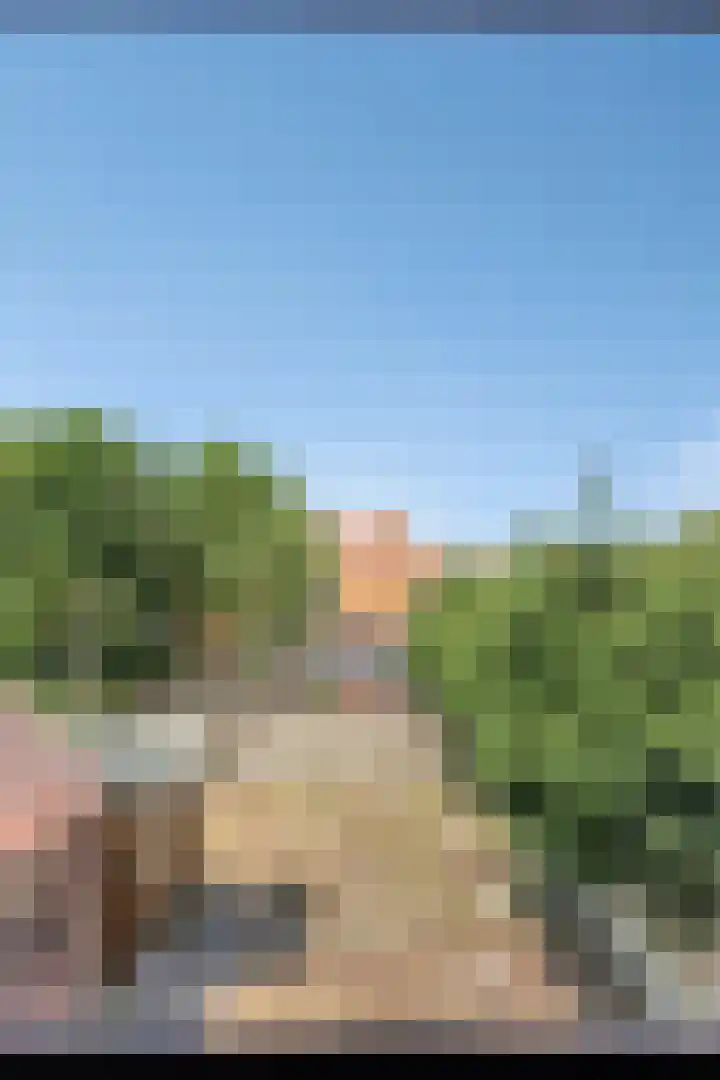 Langendam 7 Zoutelande thumbnail 16