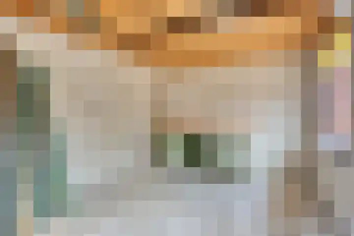Langendam 7 Zoutelande thumbnail 23