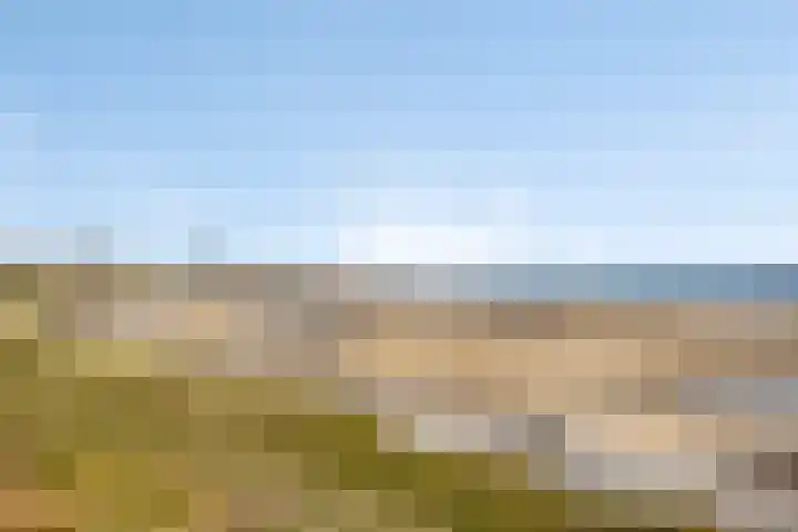 Langendam 7 Zoutelande thumbnail 30