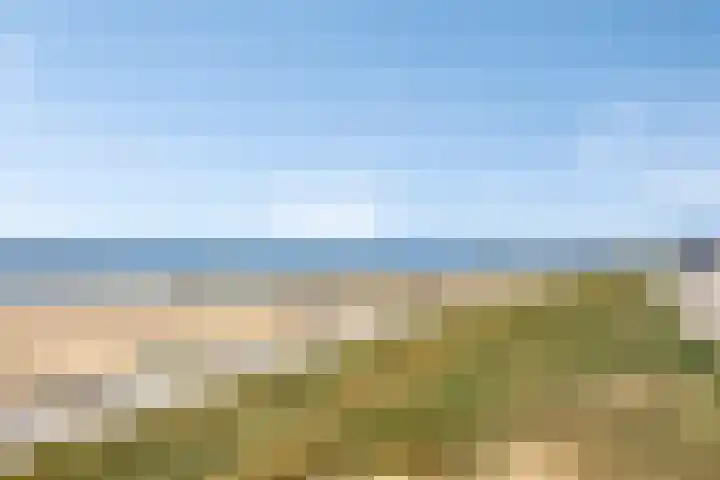 Langendam 7 Zoutelande thumbnail 6