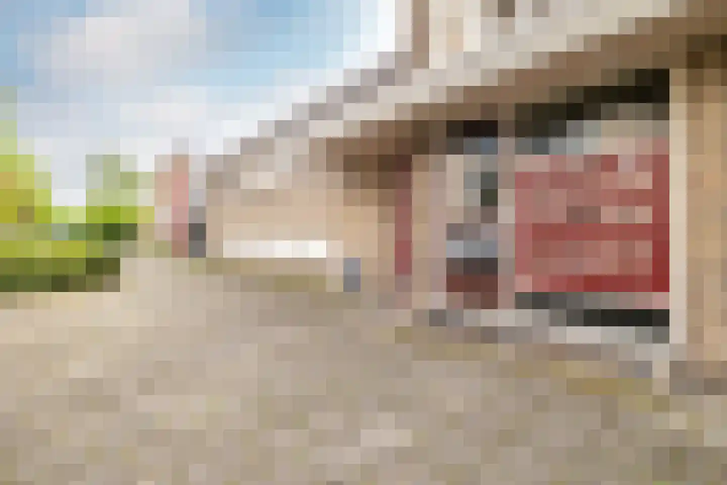 Langendijk 1 A Breda thumbnail 6