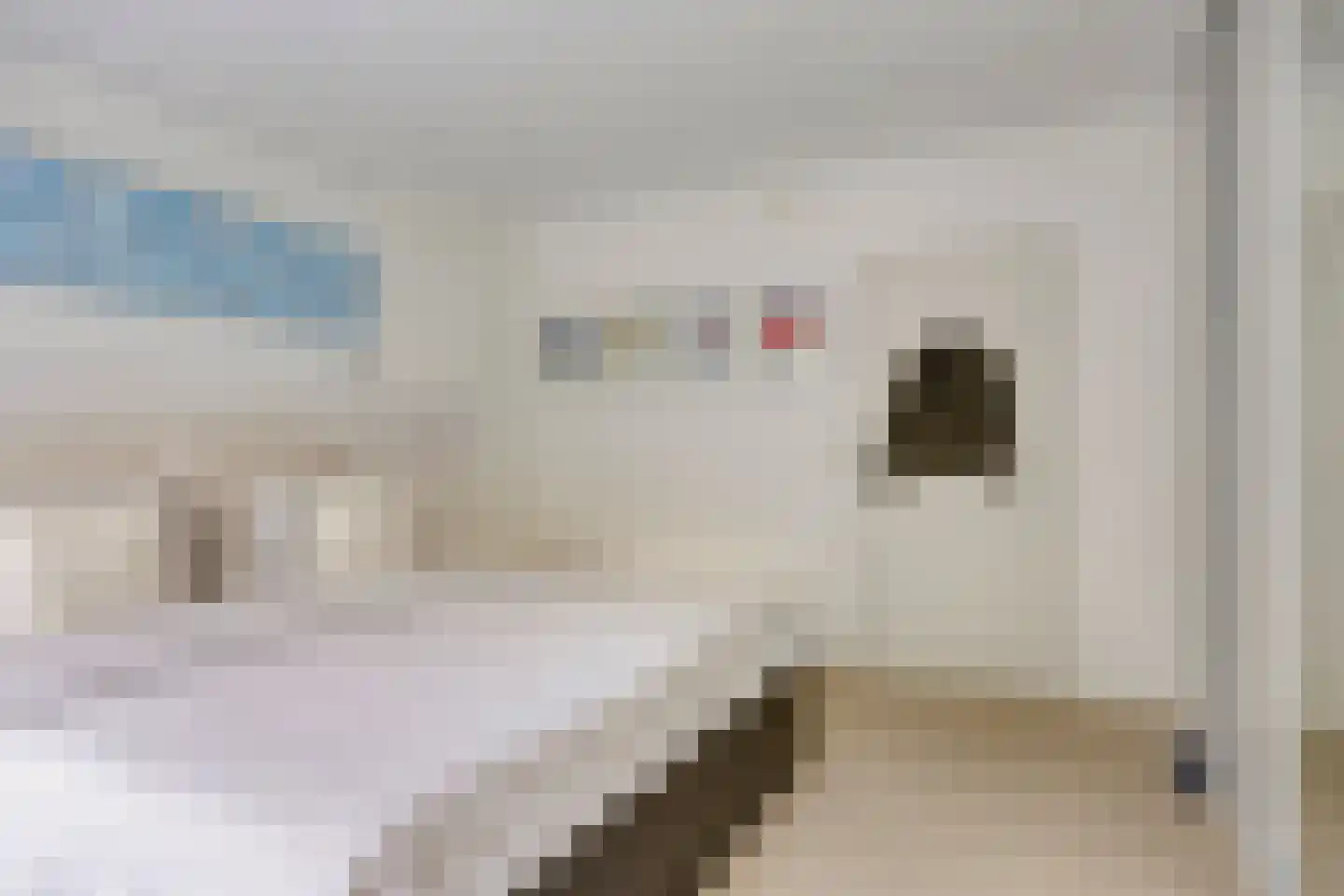 Langendijk 100 Tilburg thumbnail 24