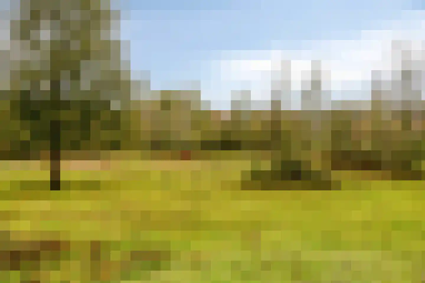 Langendijk 100 Tilburg thumbnail 68