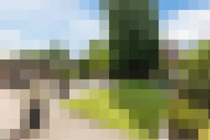 Langendijk 110 Tilburg thumbnail 29