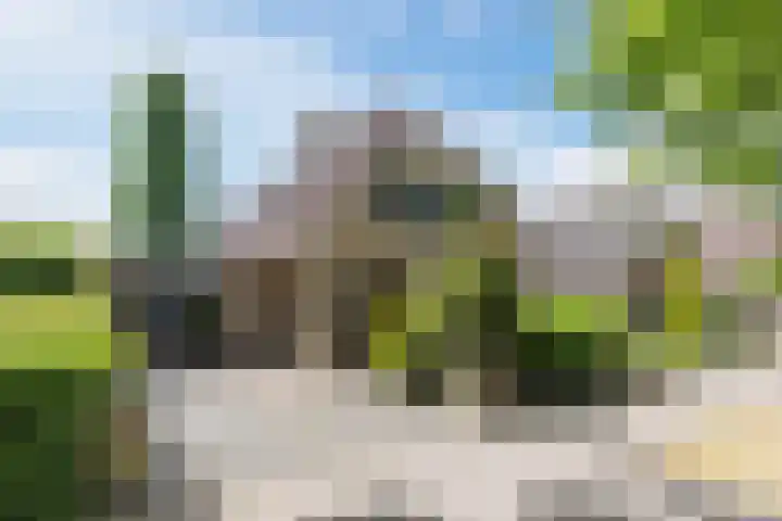 Langendijk 110 Tilburg foto 3