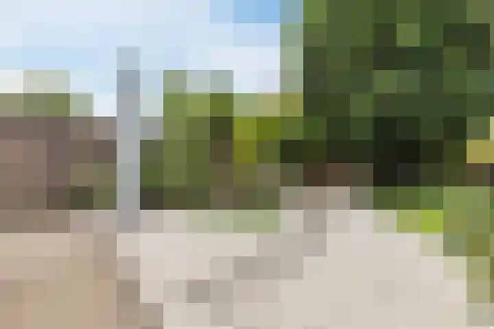 Langendijk 110 Tilburg thumbnail 30