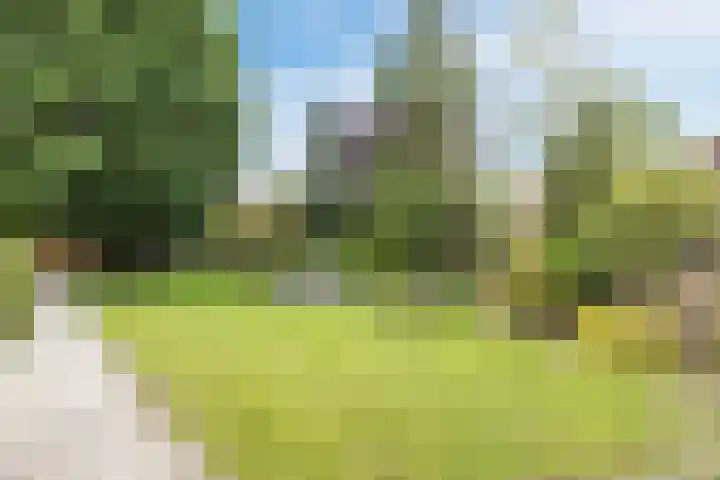 Langendijk 110 Tilburg thumbnail 31