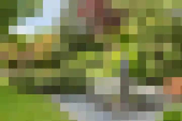 Langendijk 110 Tilburg thumbnail 32