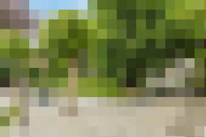 Langendijk 110 Tilburg thumbnail 34