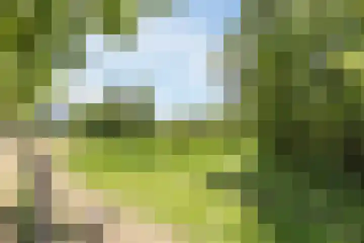 Langendijk 110 Tilburg thumbnail 41