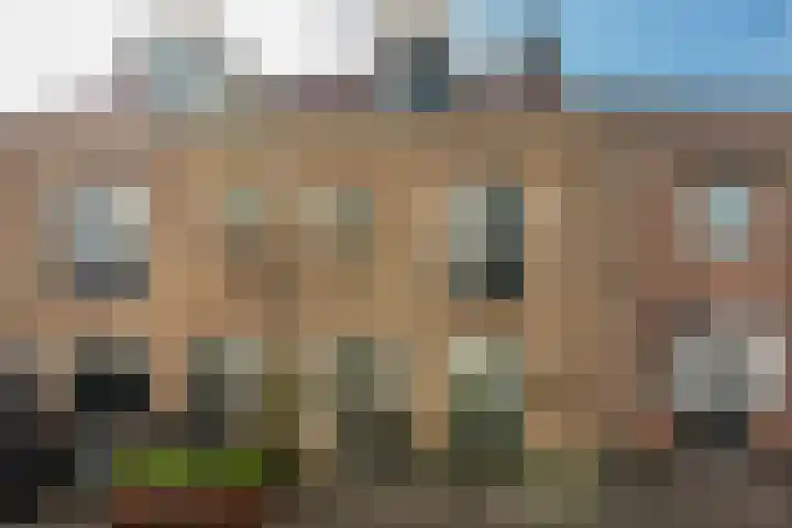 Langendijk 47 in Vianen