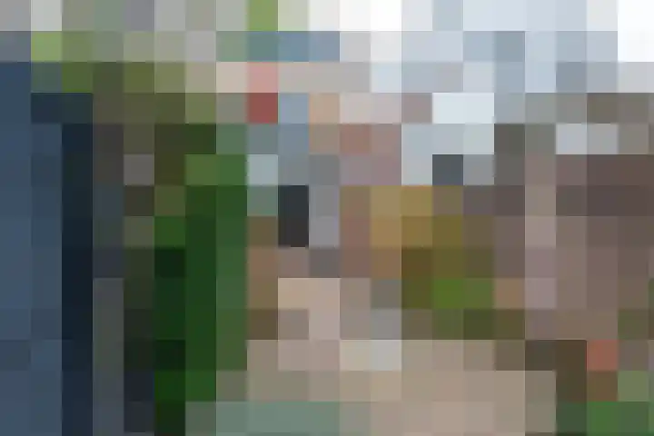 Langendijk 47 a Vianen thumbnail 48