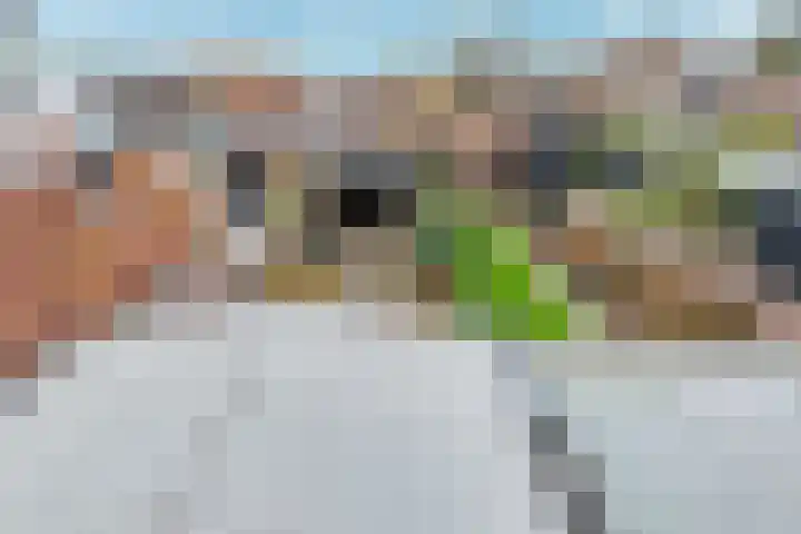 Langendijk 47 a Vianen thumbnail 64