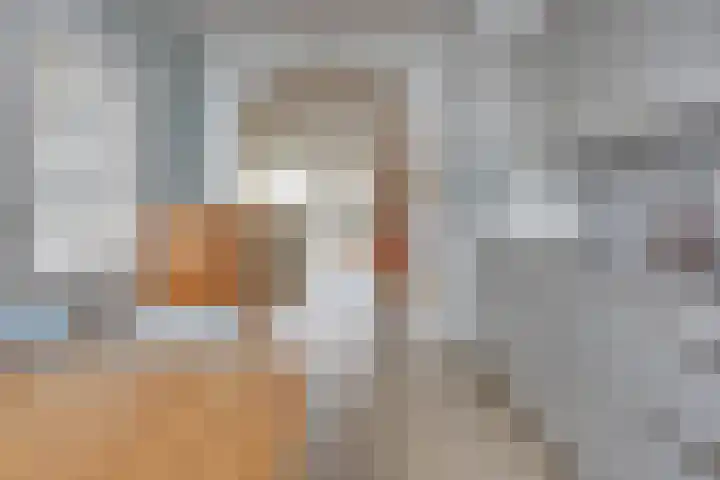 Langendijk 47 Vianen thumbnail 11