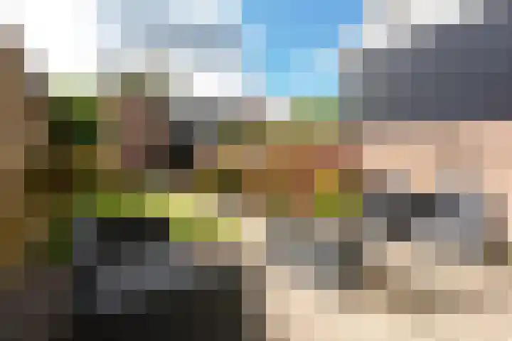 Langendijk 47 Vianen thumbnail 4