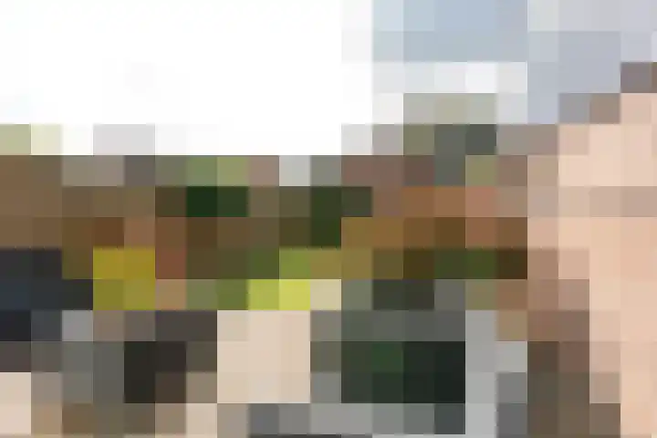 Langendijk 47 Vianen thumbnail 52