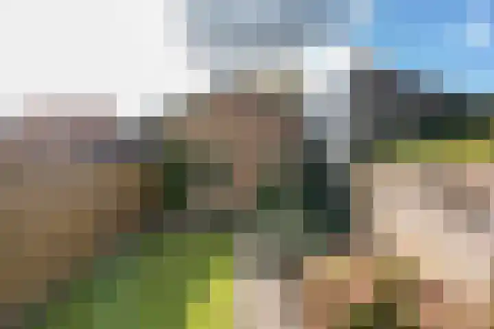 Langendijk 47 Vianen thumbnail 53