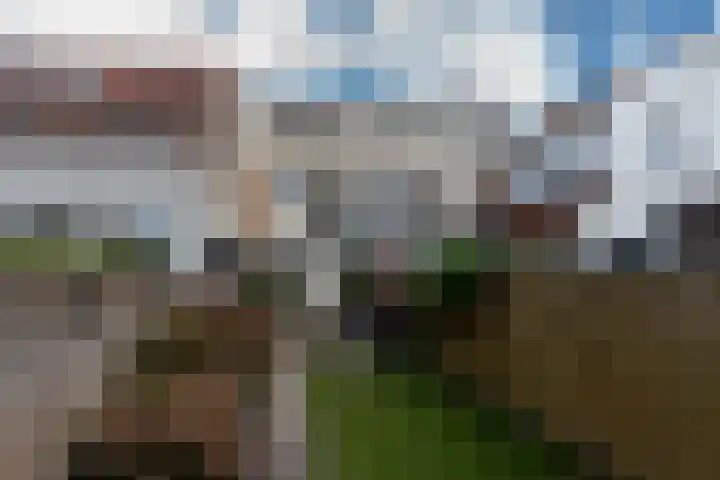 Langendijk 47 Vianen thumbnail 54